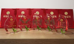 “CC网投杯”浙江省节地生态安葬设计作品奖