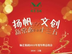 年终会：记2015年终总结大会暨2016年计划会议