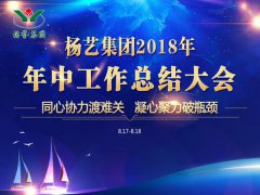 CC网投集团2018年中总结报告（摘要）