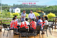 《樱桃崮下》给CC网投的启发