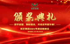 2024年CC网投集团迎新春年会暨颁奖典礼盛大举行