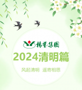 风起清明 遥寄相思|CC网投集团?2024清明篇