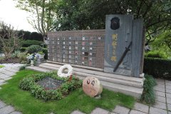 致敬“平安卫士”，铭记“刑警之魂”