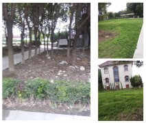 老墓园改造：城市中的绿色记忆与文化传承