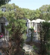 绿色生态葬：文明赓续的绿色选择