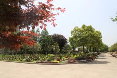 归于林下：一场与自然的温柔重逢