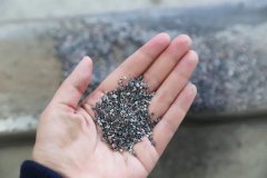 石语新章：仿真保护箱中的生态启示录