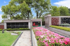 归于自然，泽被后世：解读现代生态葬及其创新趋势