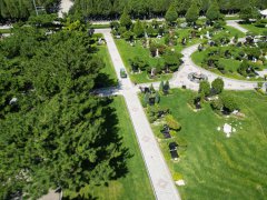 碑雕设计：镌刻历史，传承人文